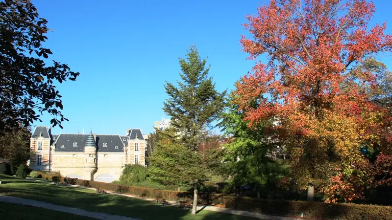 petit-jard-chalons-champagne-chateau-marche-automne