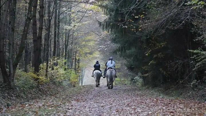 Balade à cheval