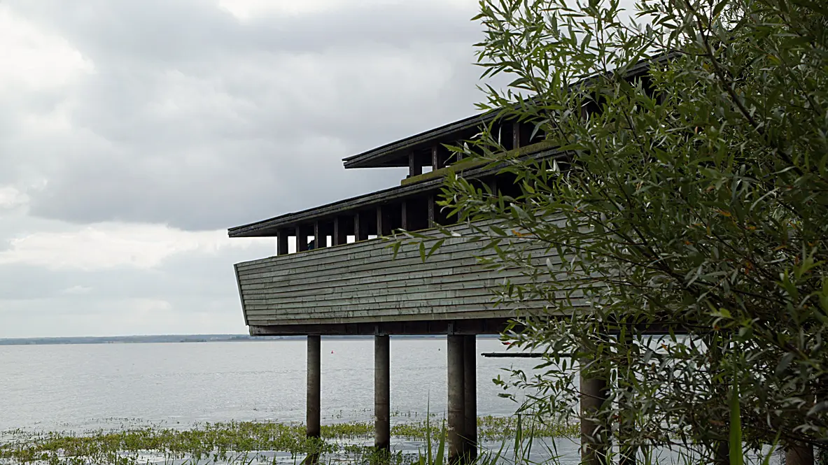 Lac du Der_observatoire-chantecoq _ Lac du Der en Champagne