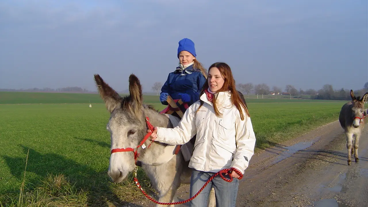 Au Milieu de Nulle Part - Promenade en selle sur un âne tenu en main