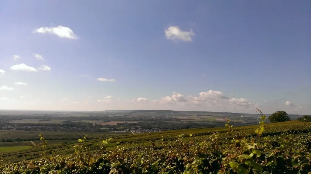 sentier-du-vigneron-mutigny