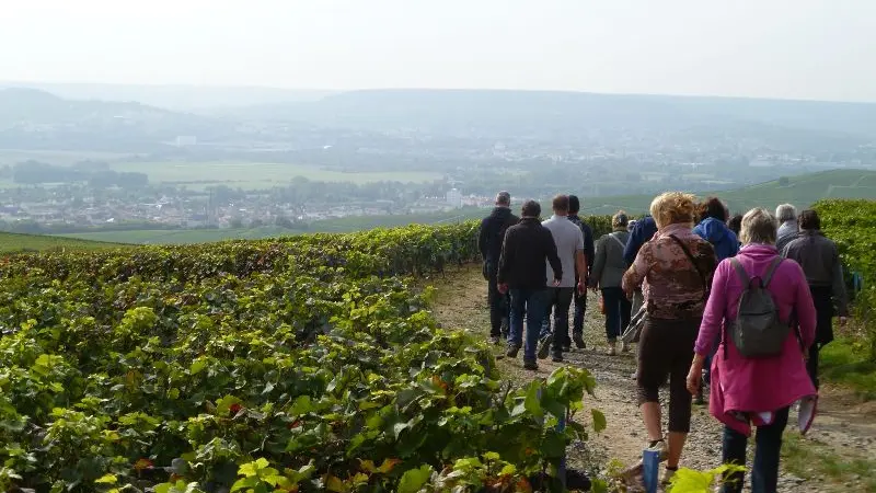 sentier-du-vigneron-visite-guidee