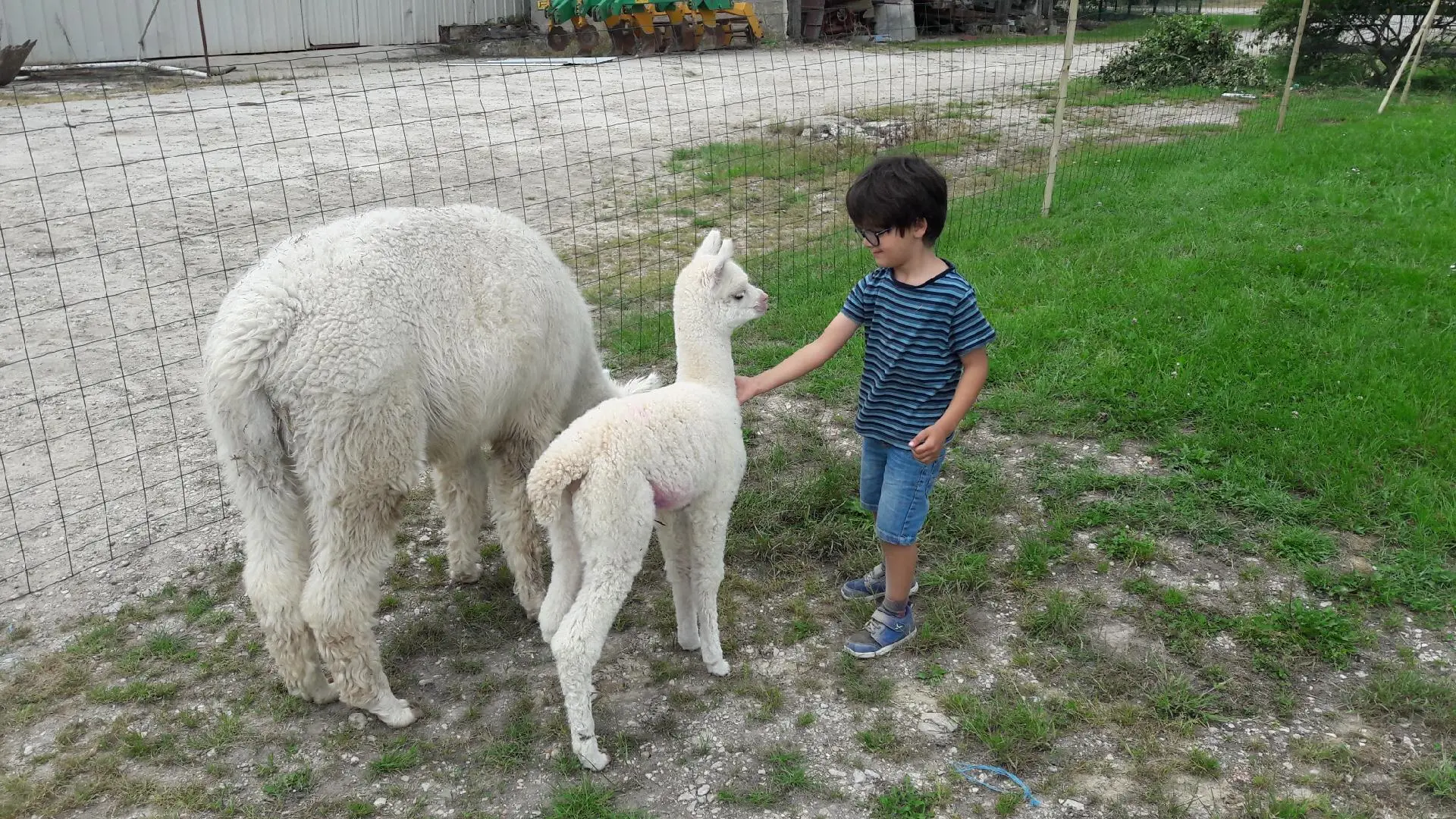 Ferme Pédagogique du Grand Der