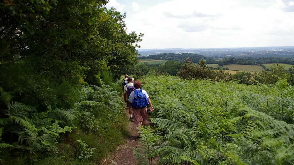 ITI53 - randonnée en Coëvrons