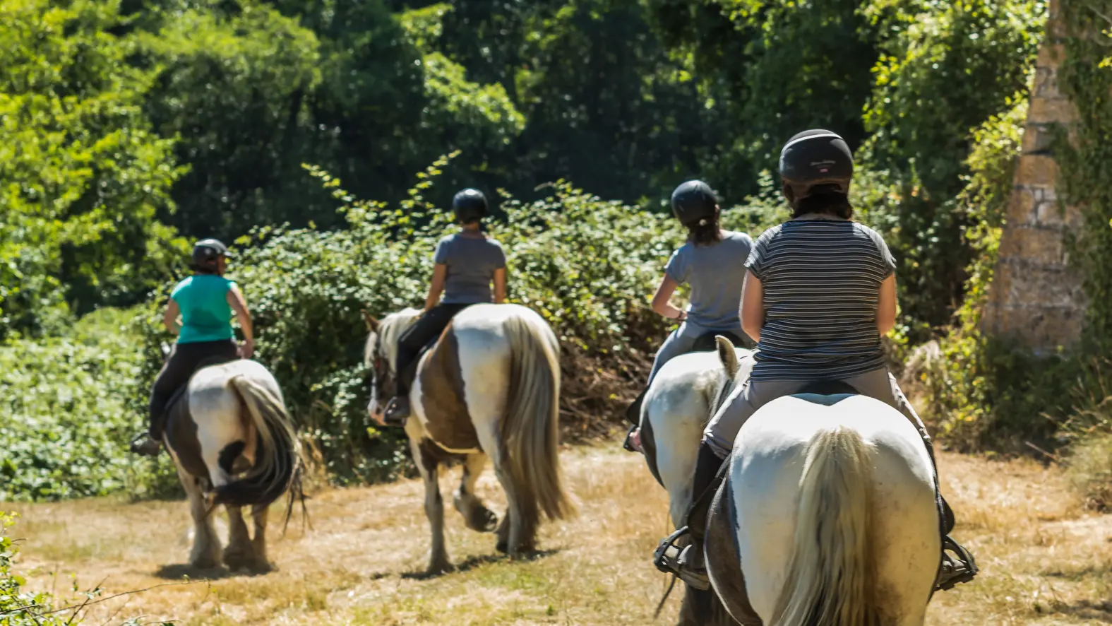 Balade à cheval l'Orbière