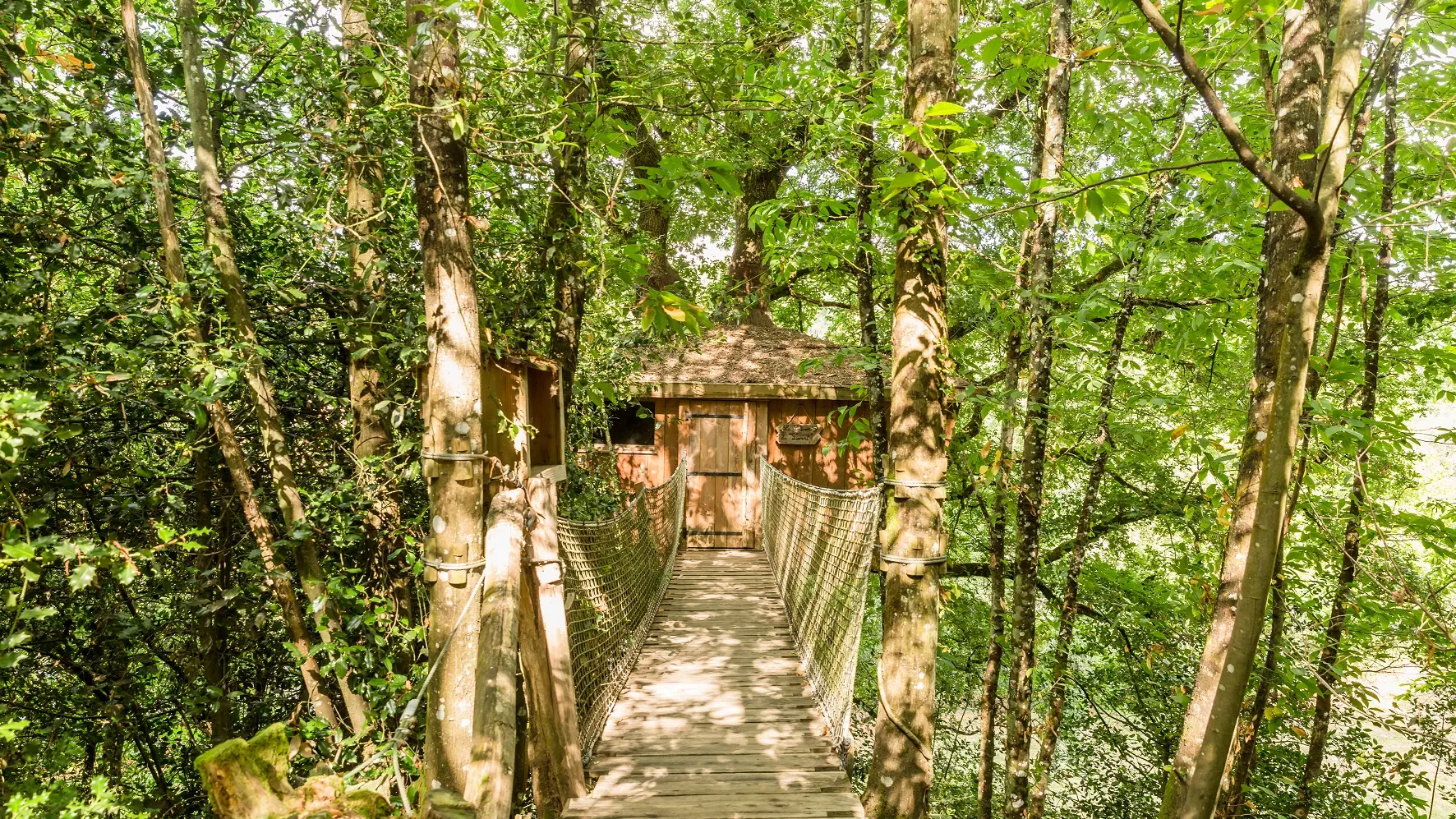 Cabane perché dans les arbres l'Orbière Laval