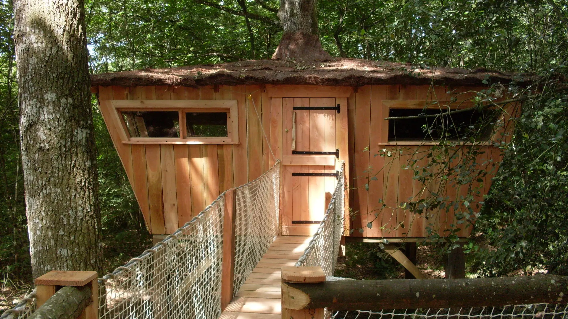 Cabane dans les arbres de l'Orbière