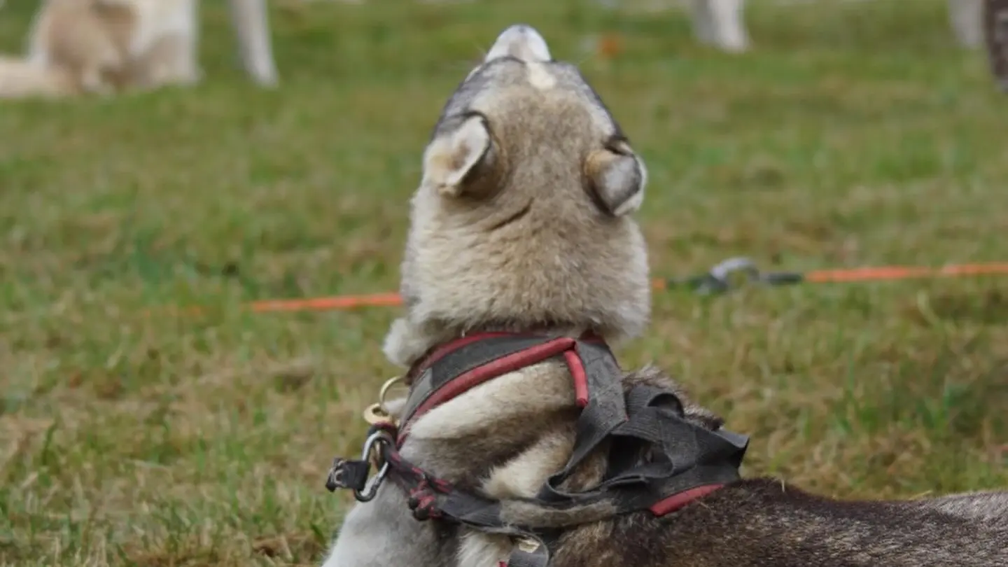 568449869_17988593813853152_3557984712848419973_n