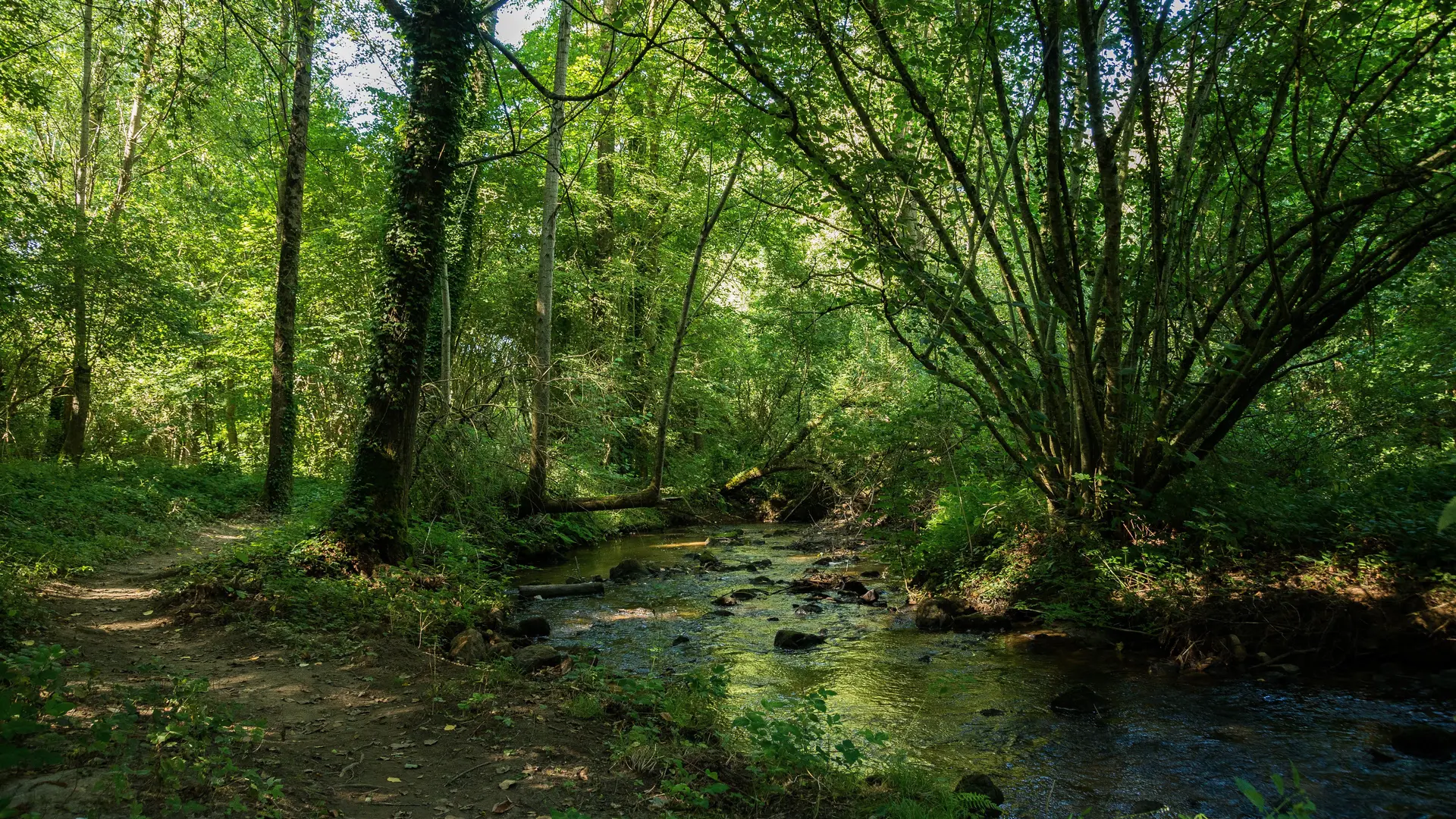 sentier-du-ruisseau-Lassay