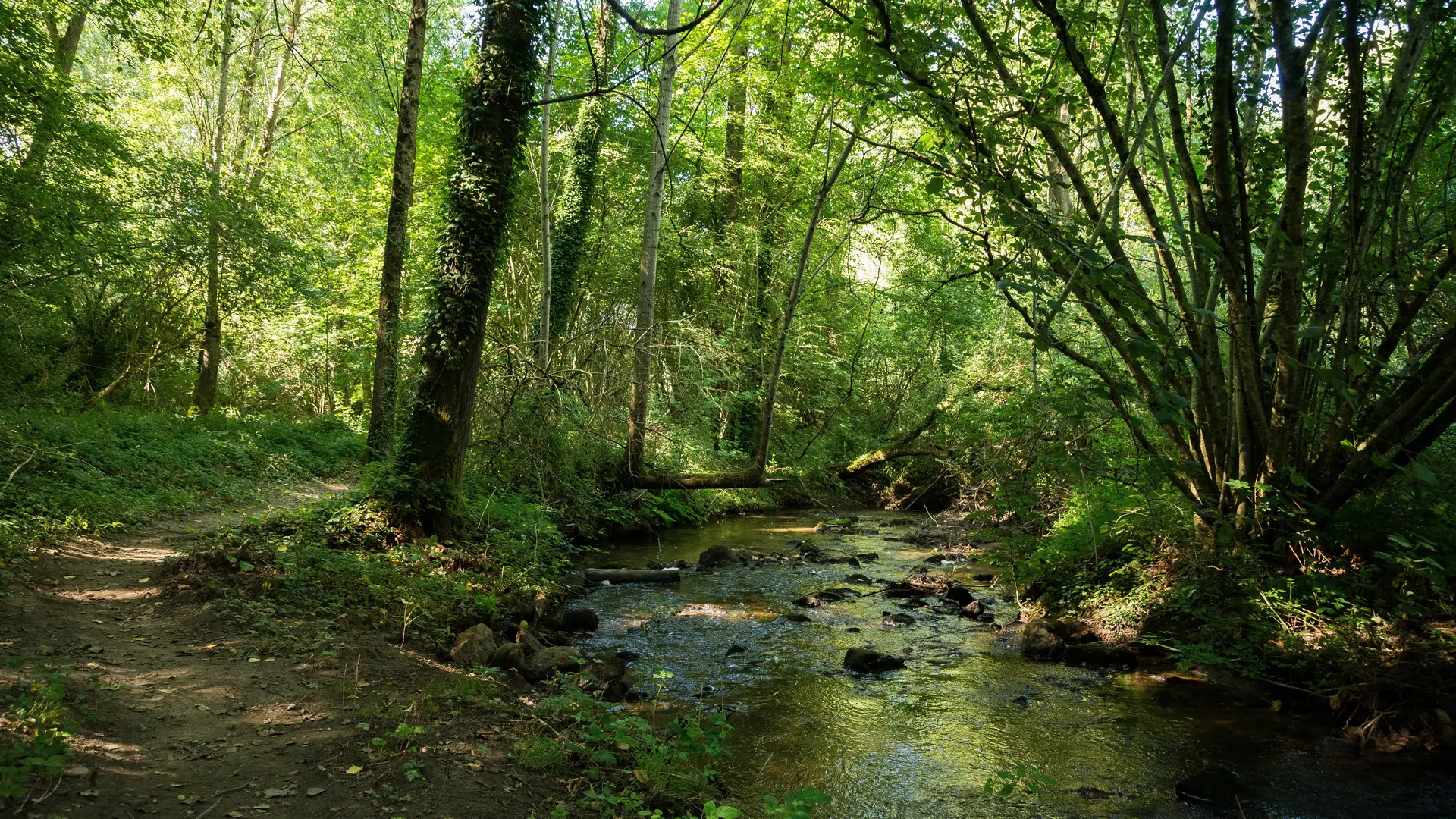 sentier Lancelot au pays de Lassay