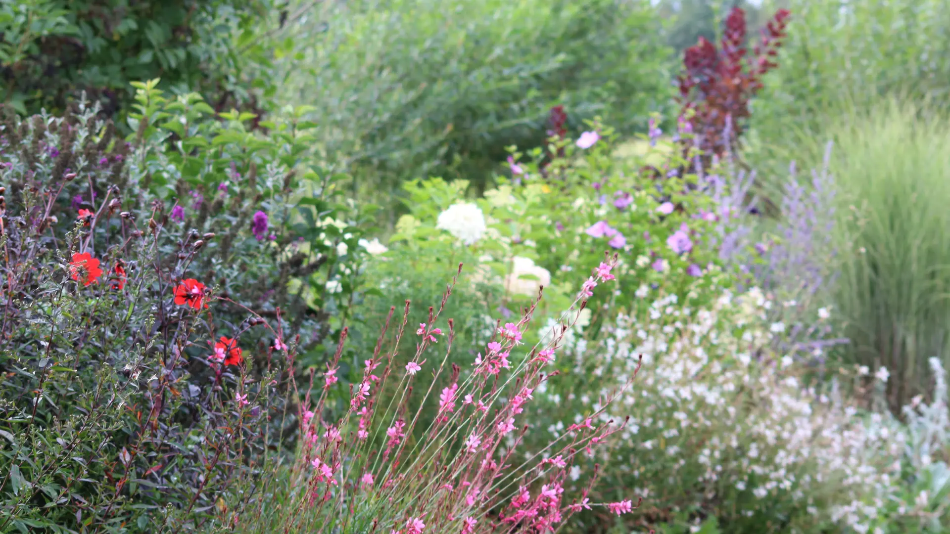 Au jardin en été