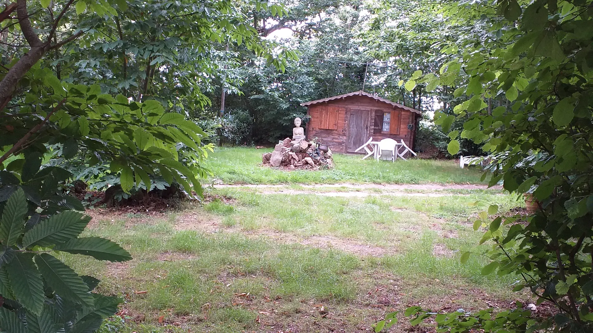 promenade en sous bois