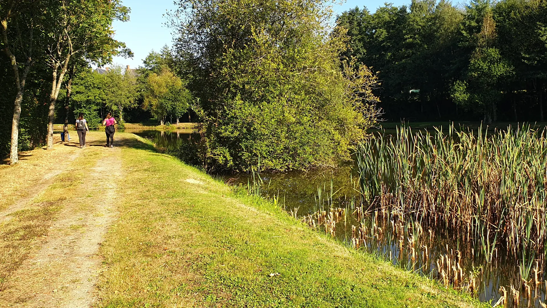 se poser à l'étang pour la pause pique-nique