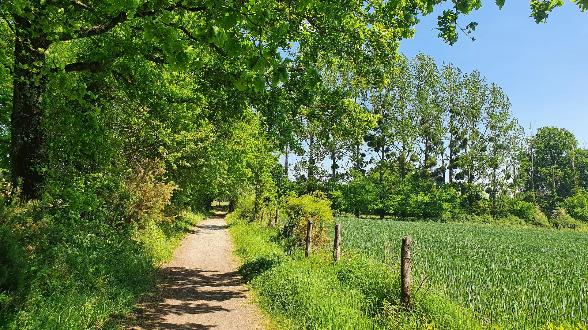 Villaines aux Perles