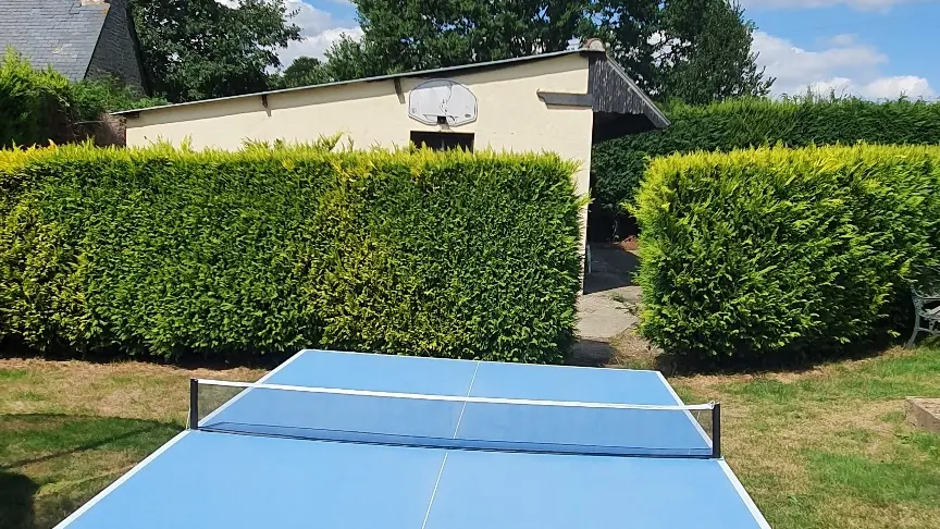 Table Tennis