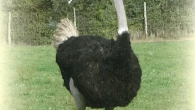 246688966_105814501885335_5145147883552441010_n