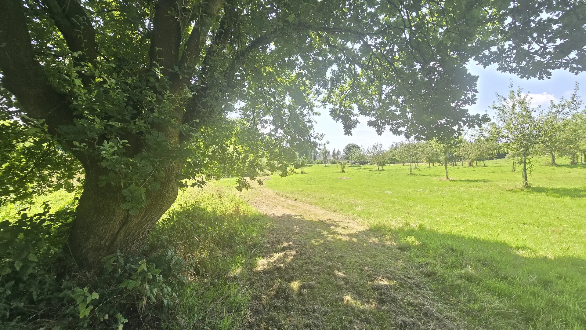 vallon de la lortiere Landivy 53 © bocage mayennais - 18