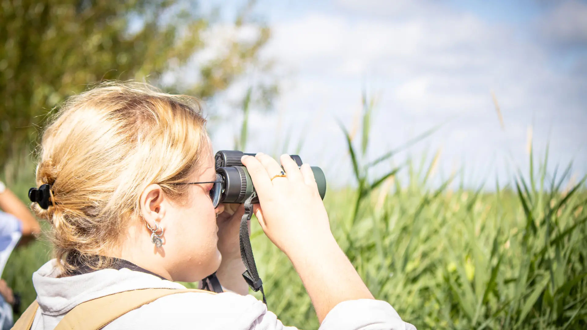 Observation des oiseaux réserve ornithologique du Parc naturel de Brière