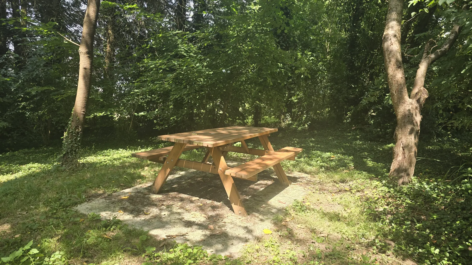 Aire de pique nique - Saint Aubin Fosse Louvain 53 © Bocage Mayennais Tourisme - 10