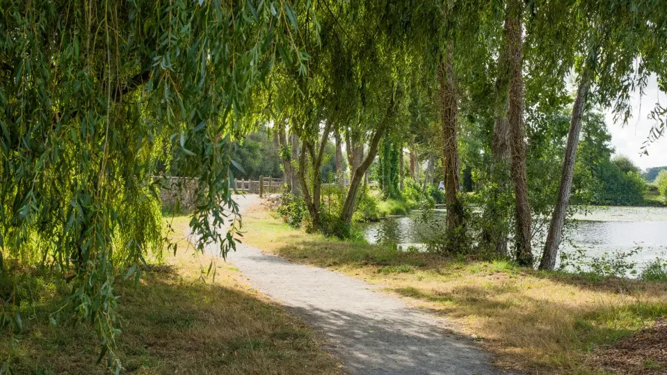 Parc des Forges