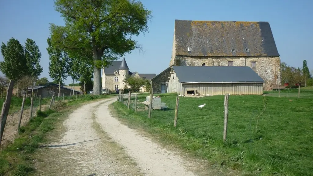 DEG-logis-du-plessis (3)