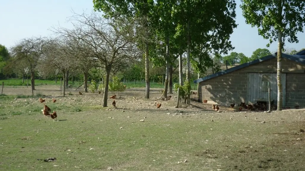 DEG-logis-du-plessis (4)