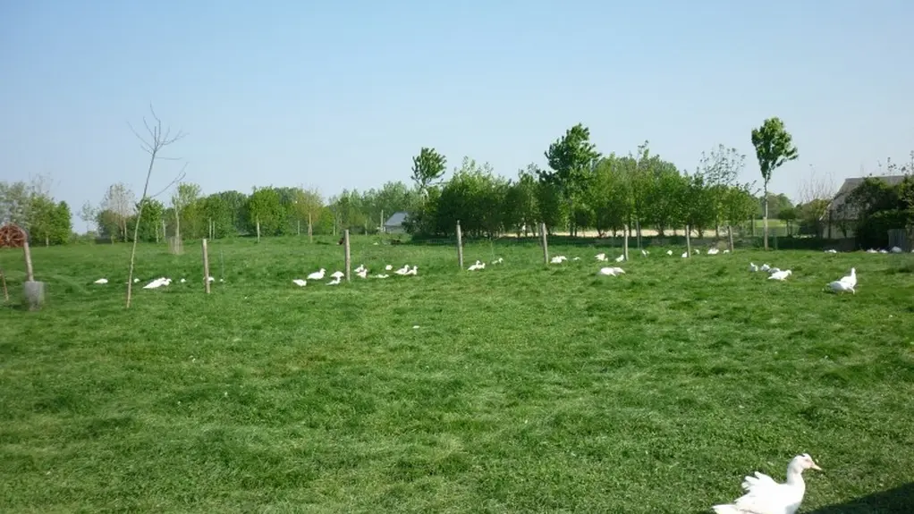 DEG-logis-du-plessis