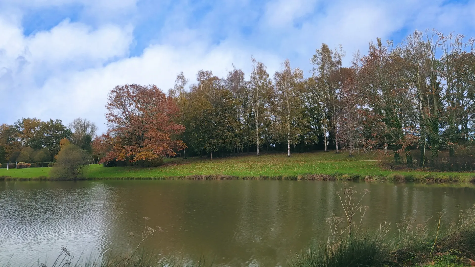 Fougerolles du plessis plan d'eau - 25