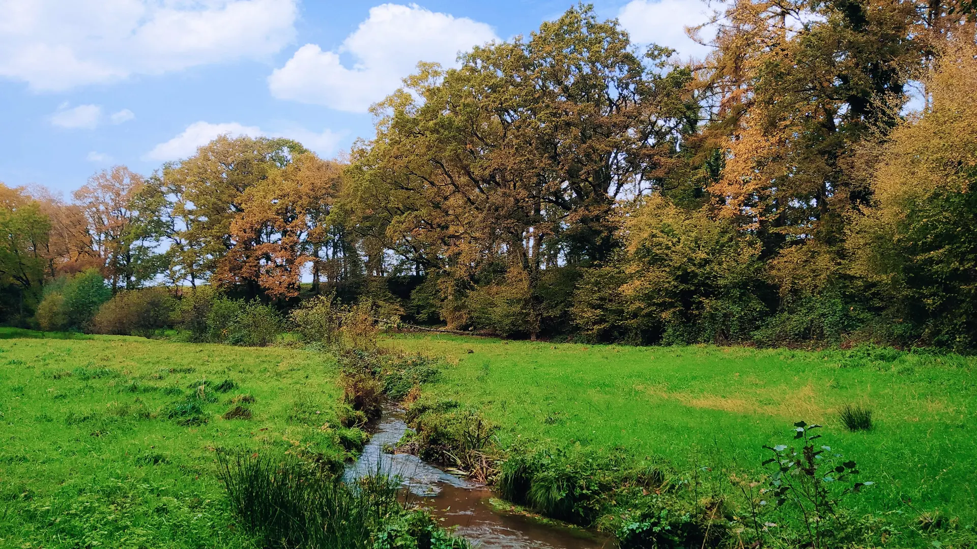 Fougerolles du plessis claire fontaine - 62