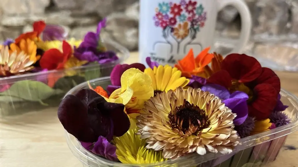 Fleurs comestibles en AB