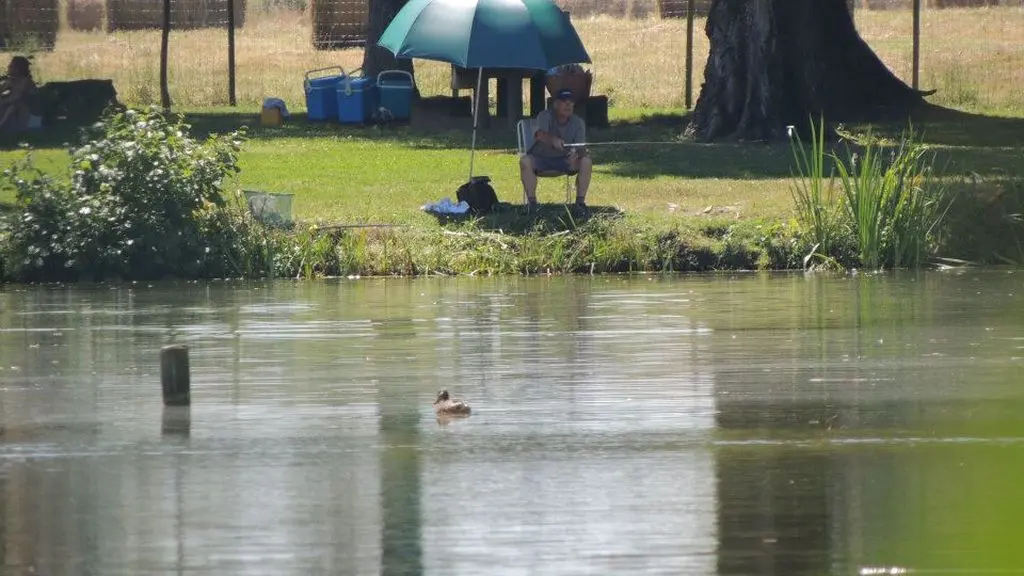 Camping de la Chesnaie 10