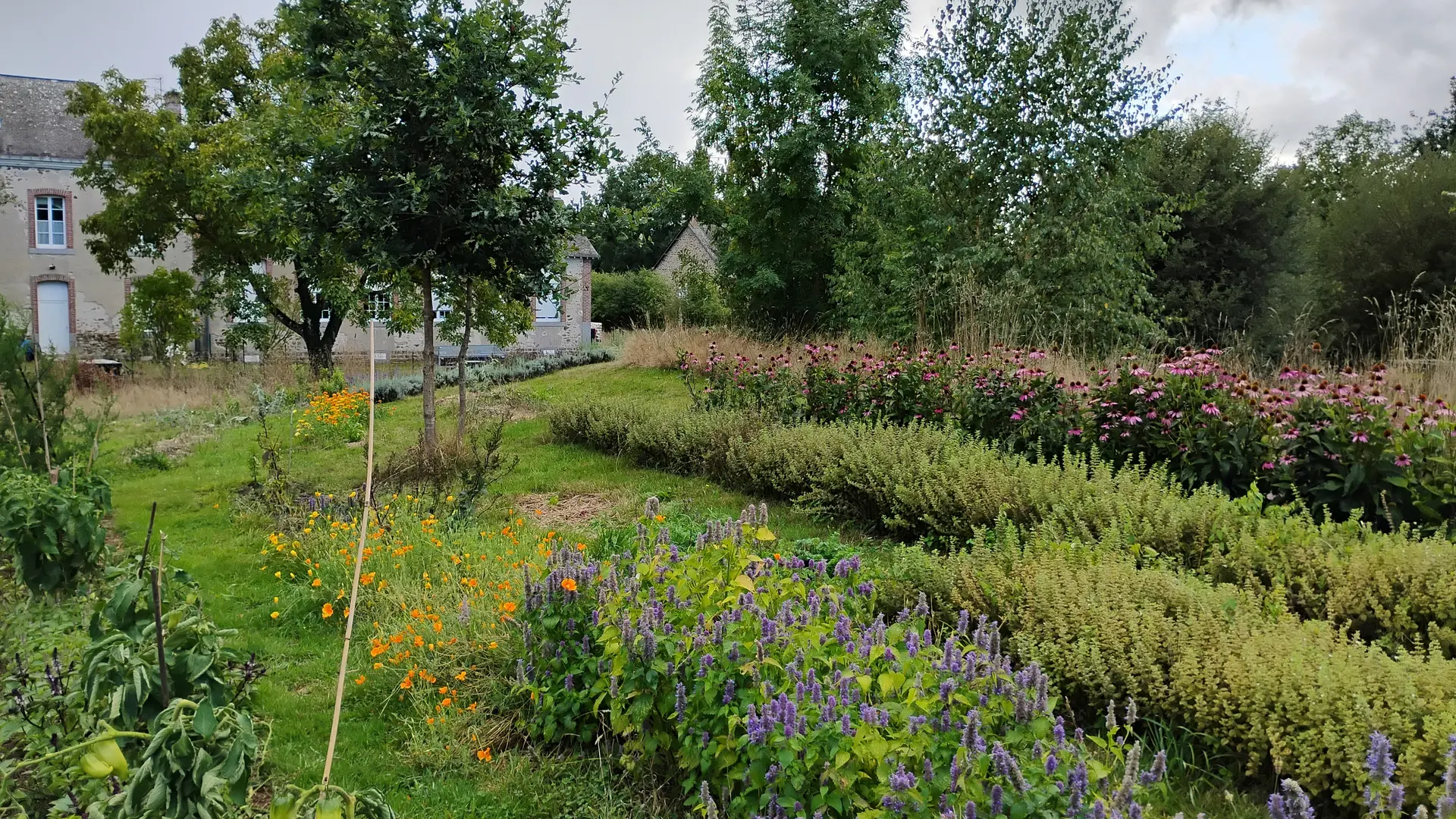 Herborigène - Bocage Mayennais 6