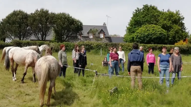 Horse coaching 001