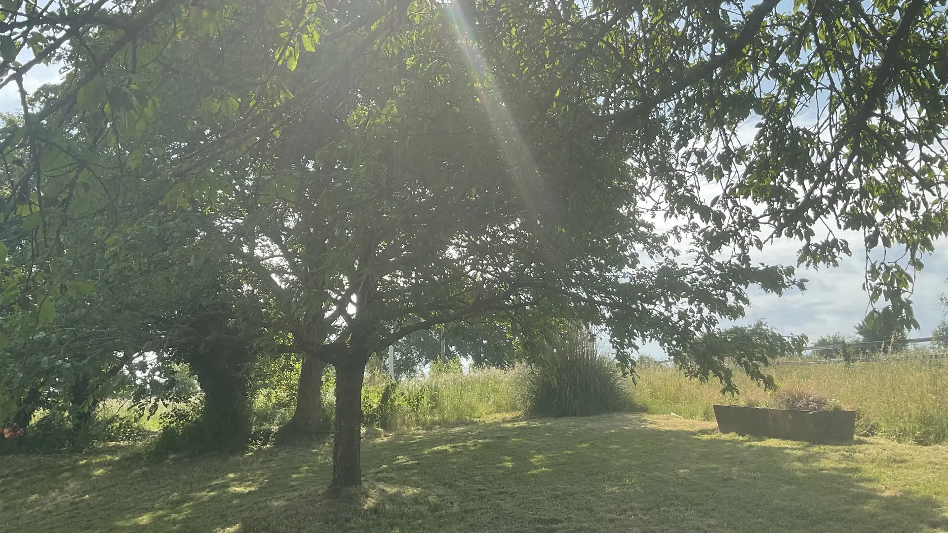 Le grand terrain