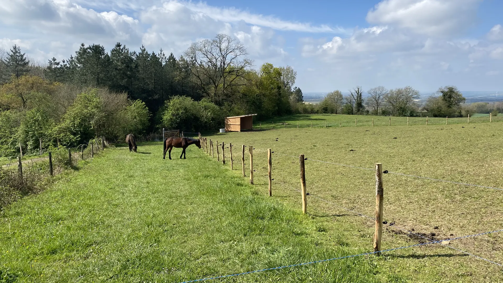 Ferme Pédagogique Pat'à foin Kids