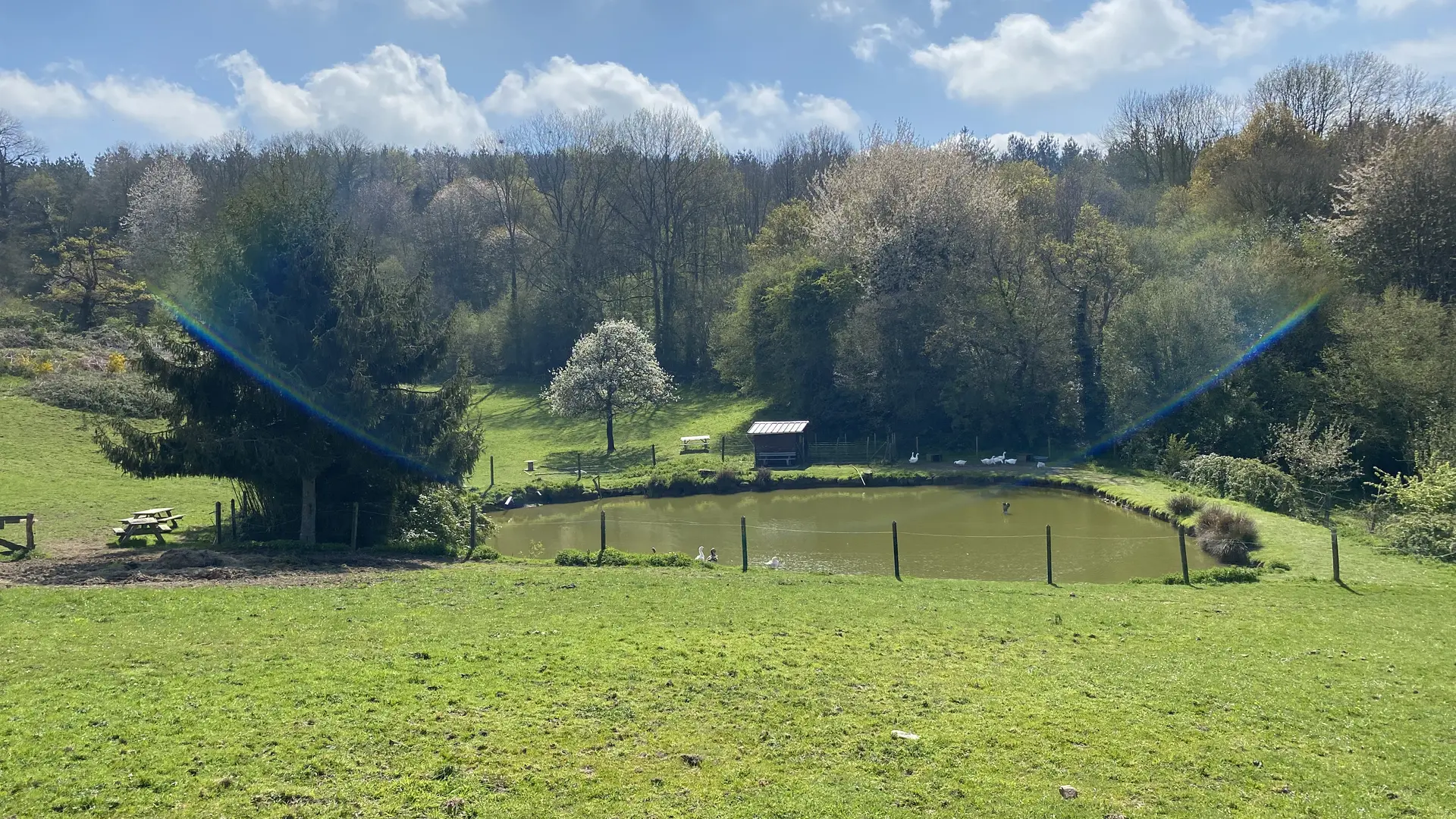 Ferme Pédagogique Pat'à foin Kids