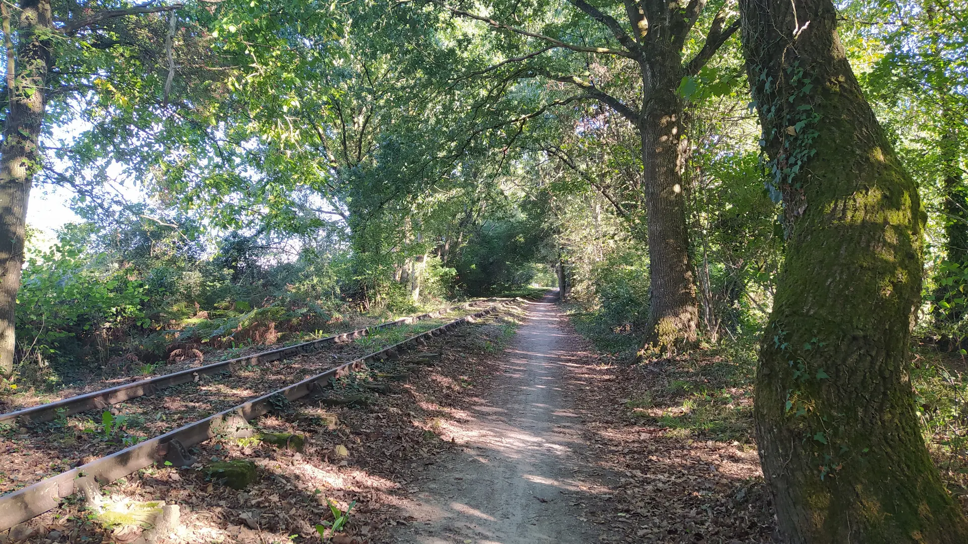 saint-loup-du-gast---Circuit de la Monnerie
