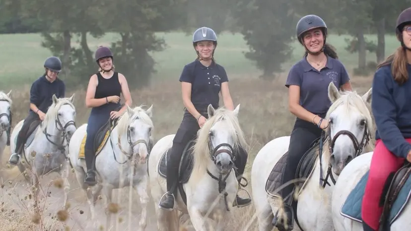 centre equestre le roc au loup