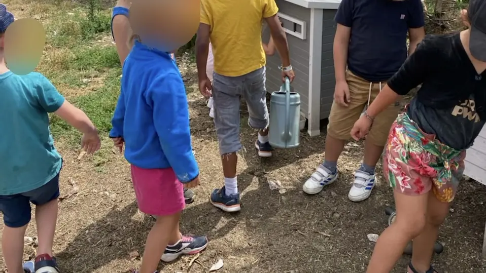 Donne à manger aux poules