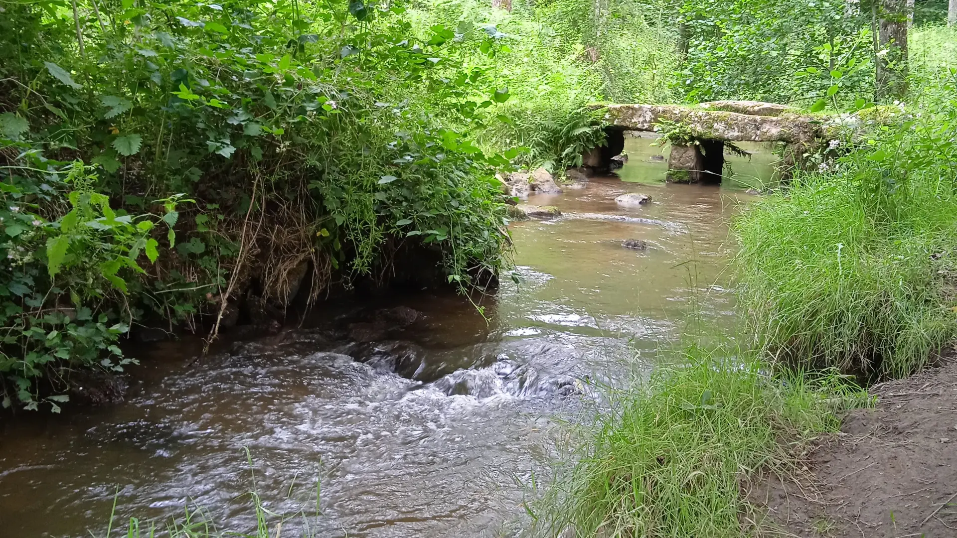 Niort - sentier au fil du temps