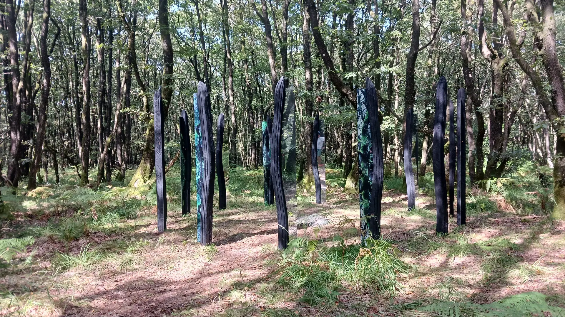 Oeuvre artistique S'enforester - Benoît Delomez