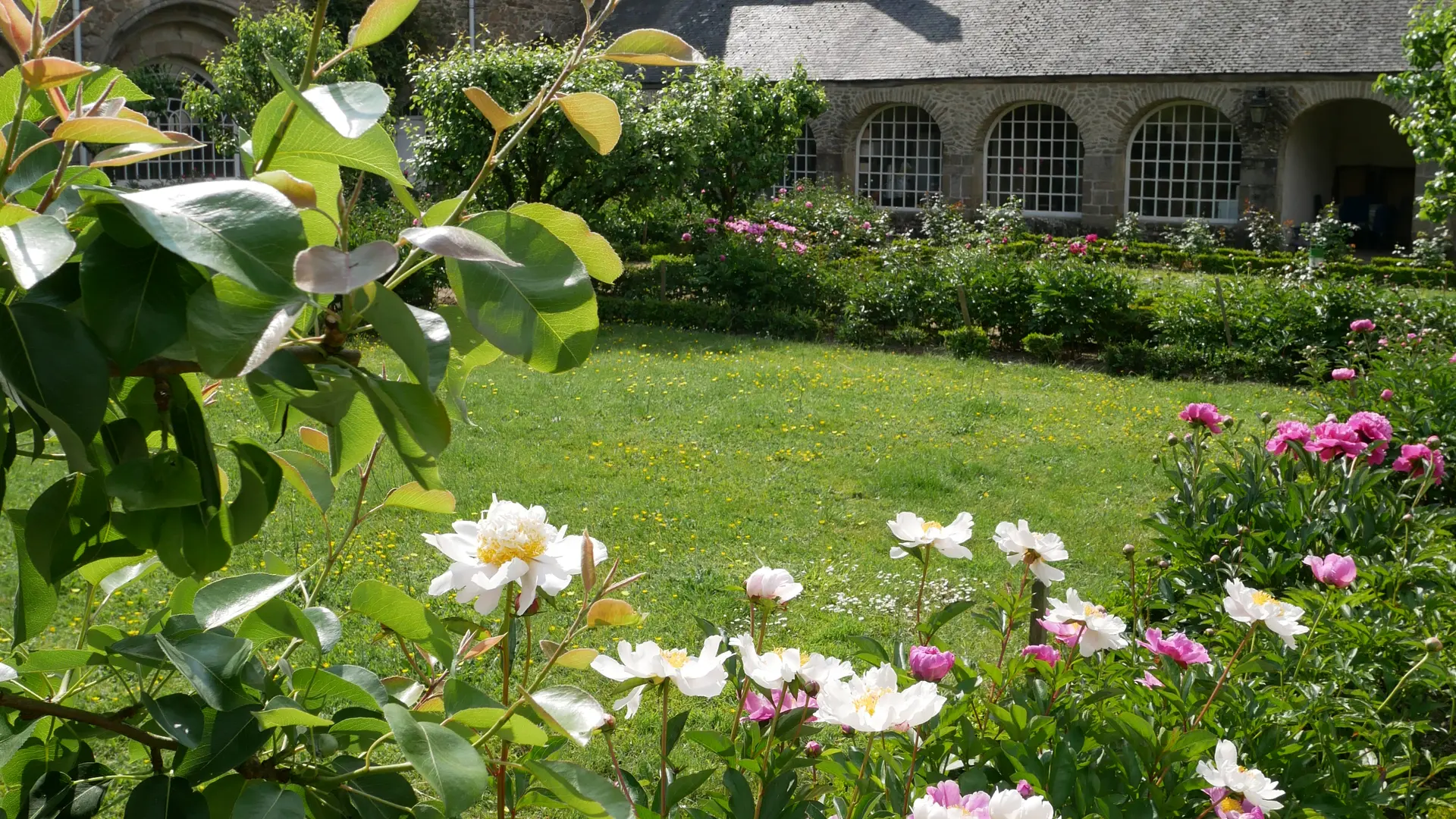 ABBAYE DE FONTAINE DANIEL