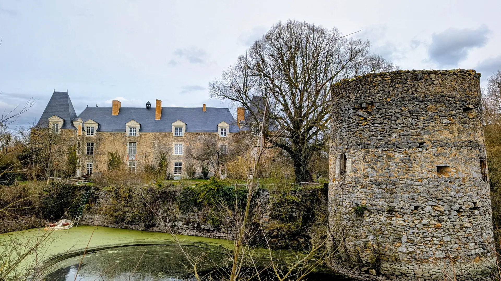 PXL_20260204_144009924~2