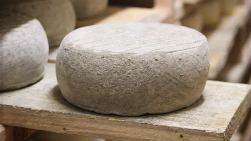 Tomme en cave