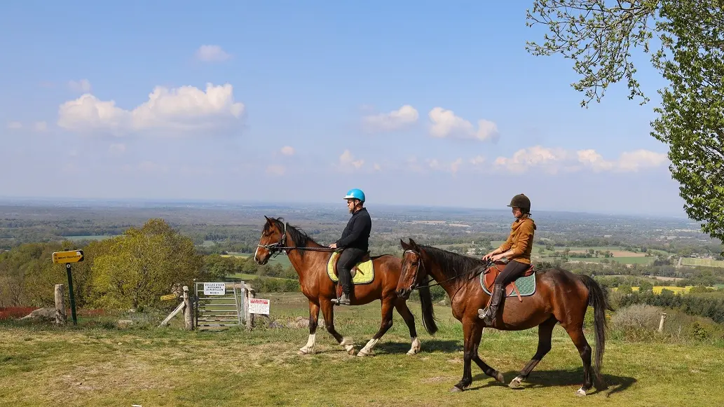 balade à cheval au montaigu