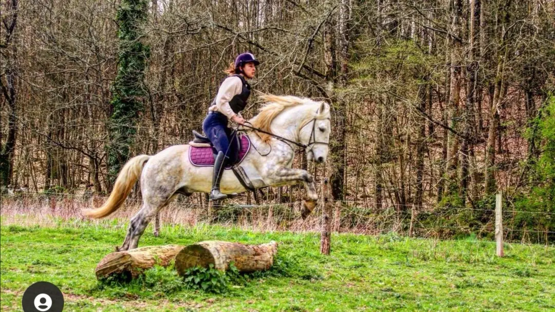 centre equestre le roc au loup