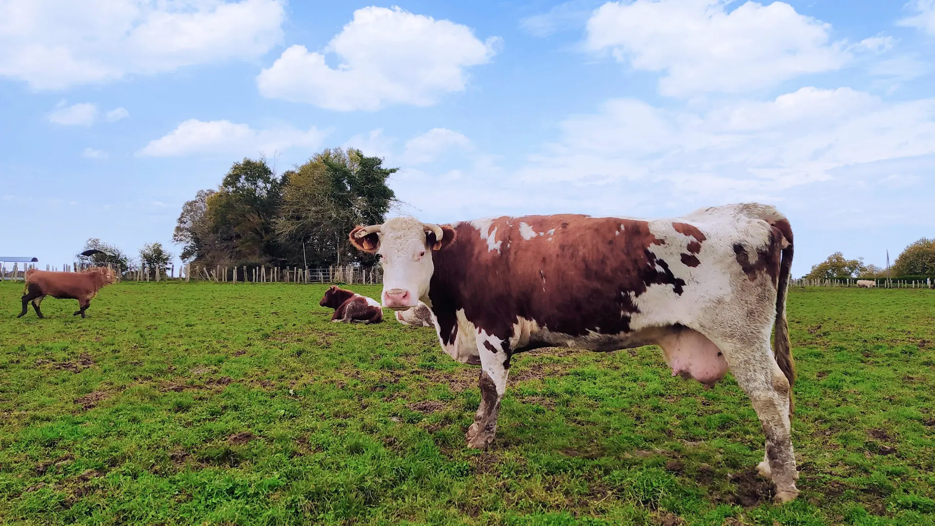 Saint Ellier du maine Moulin des Vaux 22
