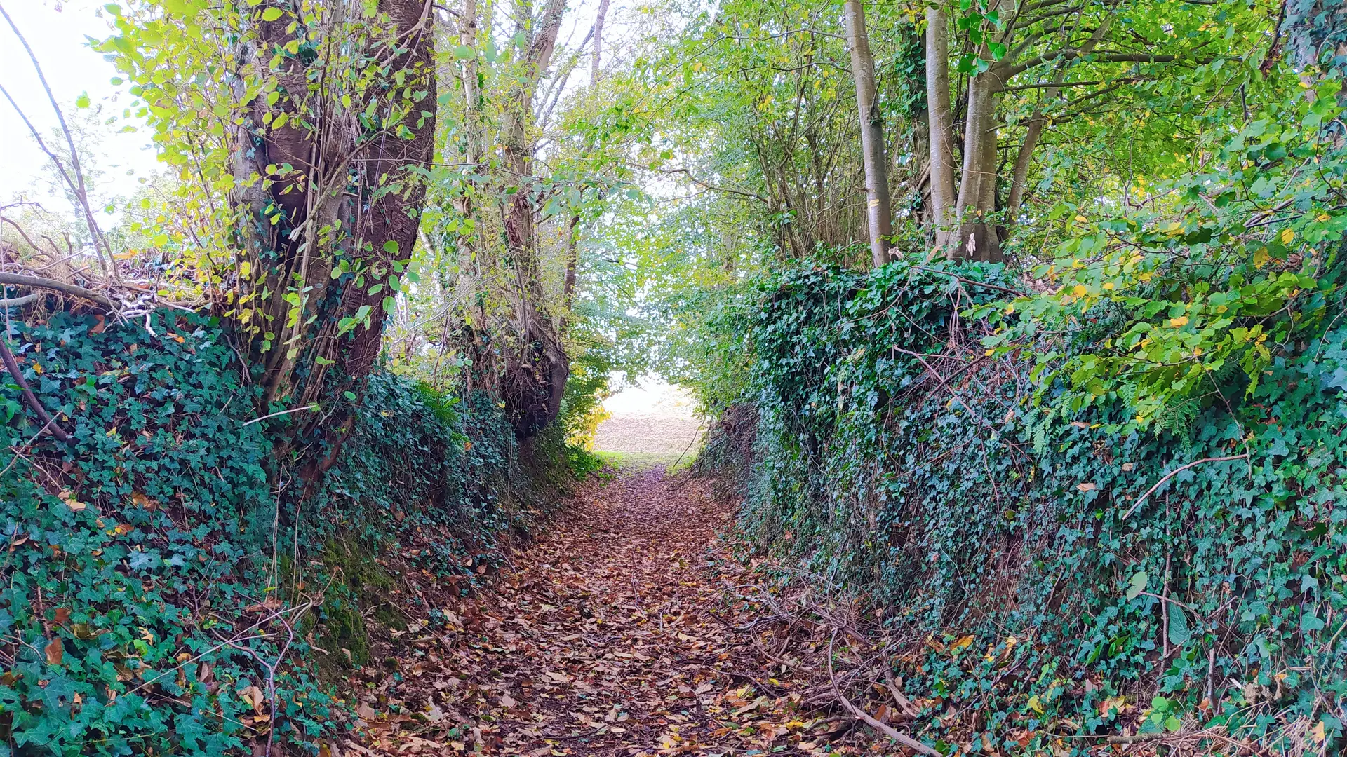 Saint Ellier du maine Moulin des Vaux 9