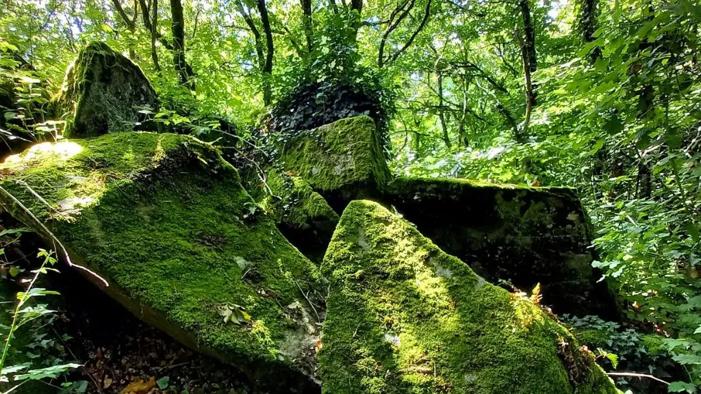 Bois Gros Roc - Mont-Rochard