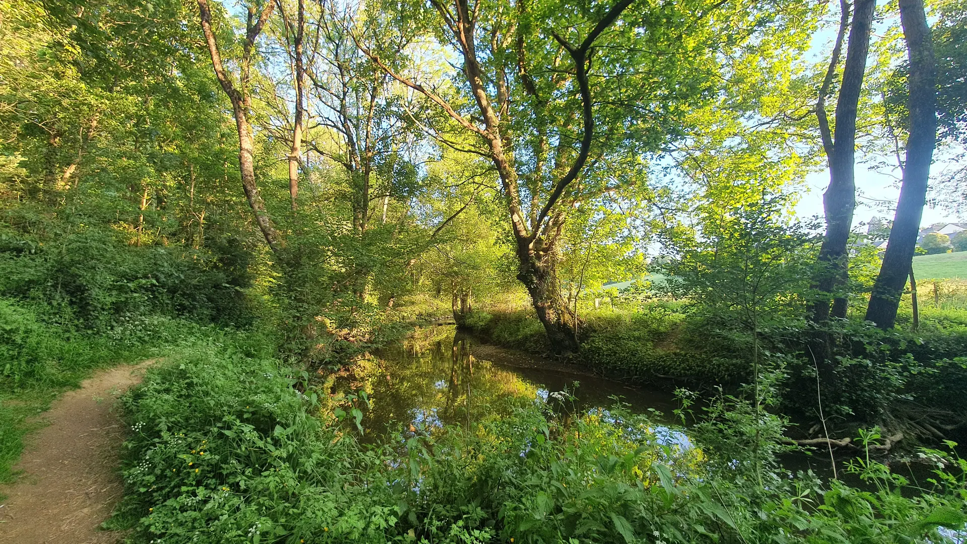 Trail Coupeau-Vicoin 012